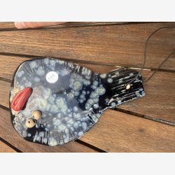 L�bestift fisk - Store Sofie 