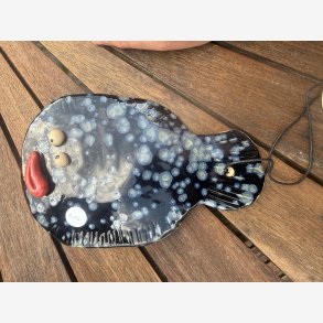 L�bestift fisk - Sus