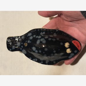 Lbestift fisk - Sofie