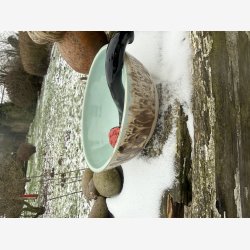 Snold sk�l med sjov pibe